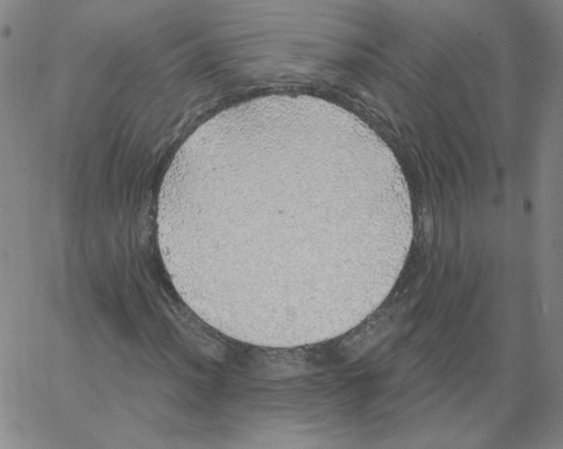 X0000066971012200604211901