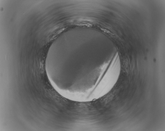 X0000066971013200604211901