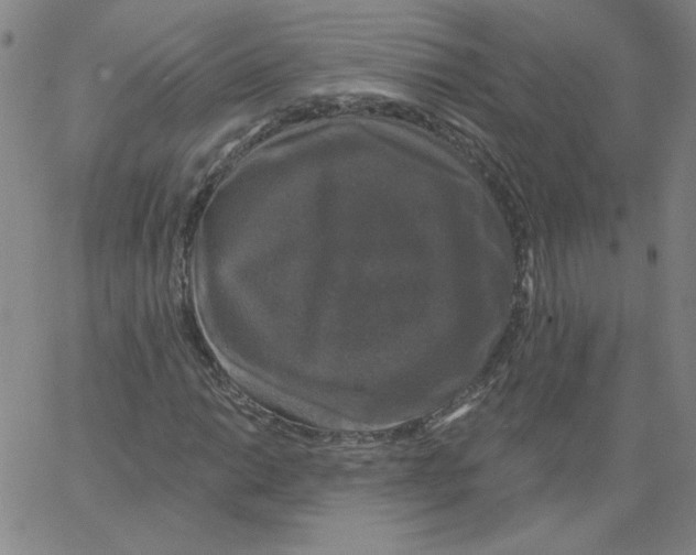 X0000066971014200604211901