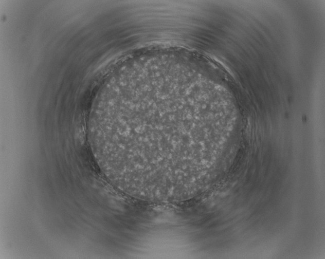 X0000066971015200604211901