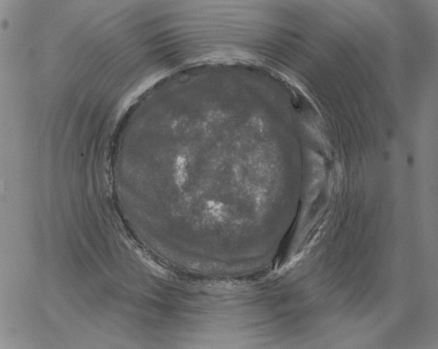 X0000066971018200604211901