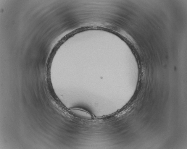 X0000066971020200604211901