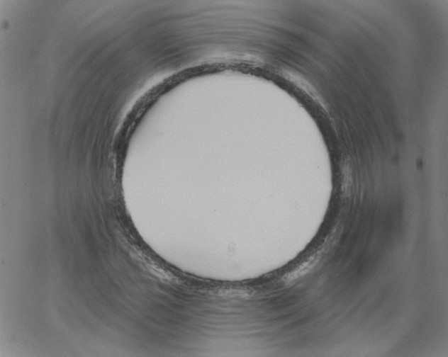 X0000066971021200604211901