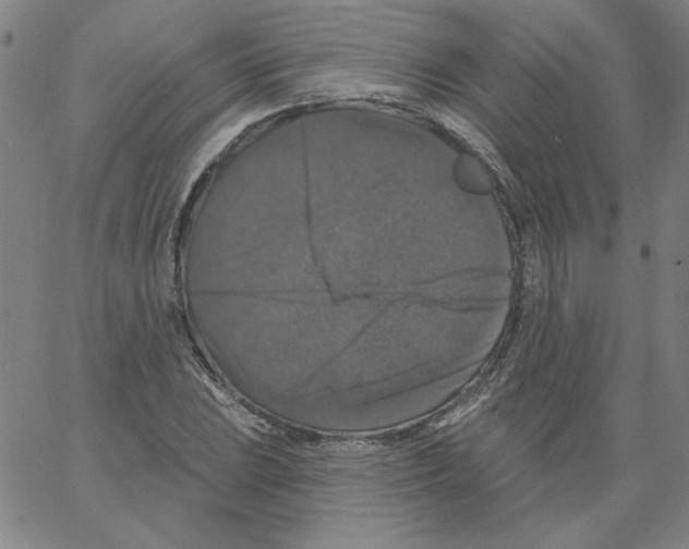 X0000066971023200604211901