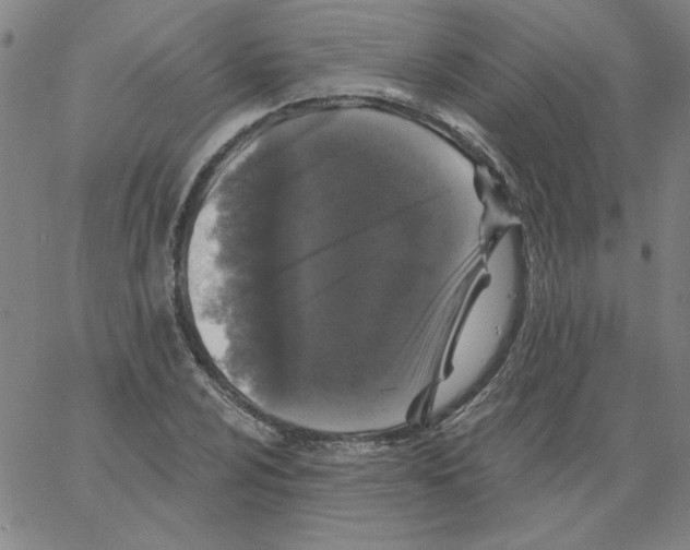 X0000066971024200604211901