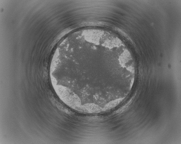 X0000066971025200604211901