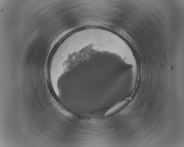 X0000066971028200604211901