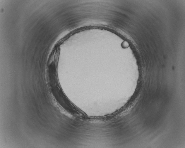 X0000066971029200604211901