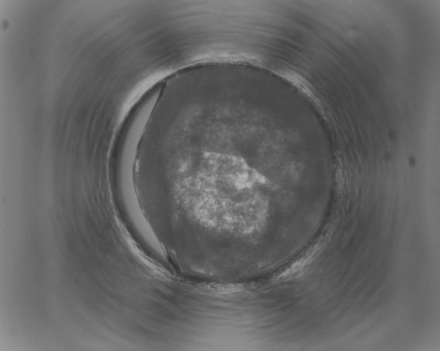 X0000066971030200604211901