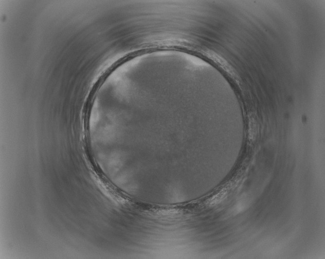 X0000066971031200604211901