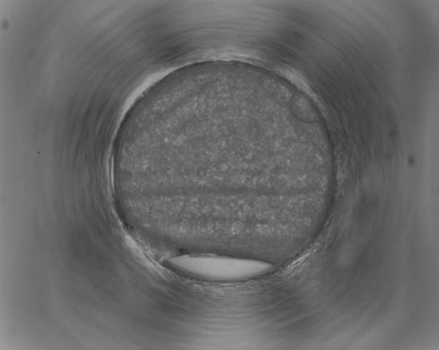 X0000066971032200604211901