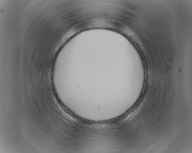 X0000066971033200604211901