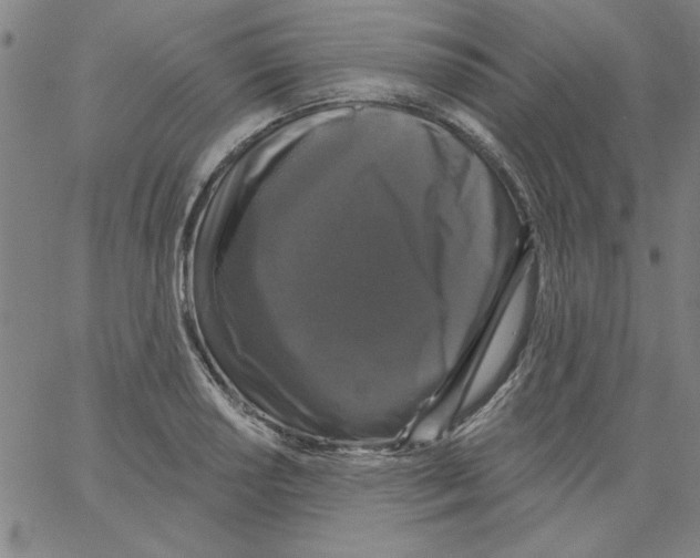 X0000066971034200604211901