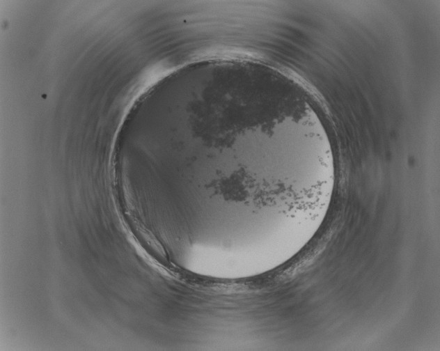 X0000066971037200604211901