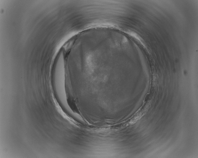 X0000066971038200604211901