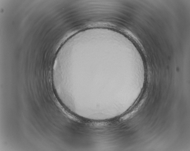 X0000066971041200604211901