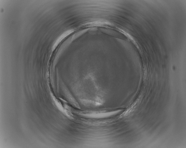 X0000066971042200604211901