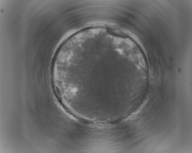 X0000066971045200604211901