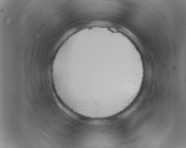 X0000066971049200604211901