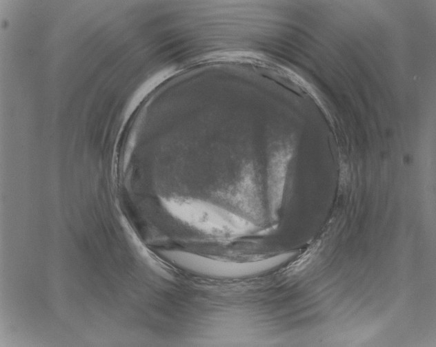 X0000066971050200604211901