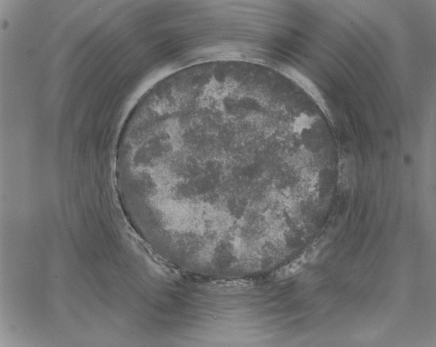 X0000066971051200604211901