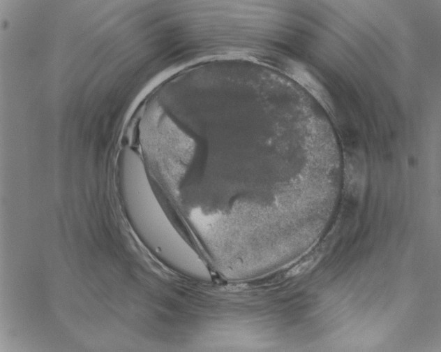 X0000066971052200604211901