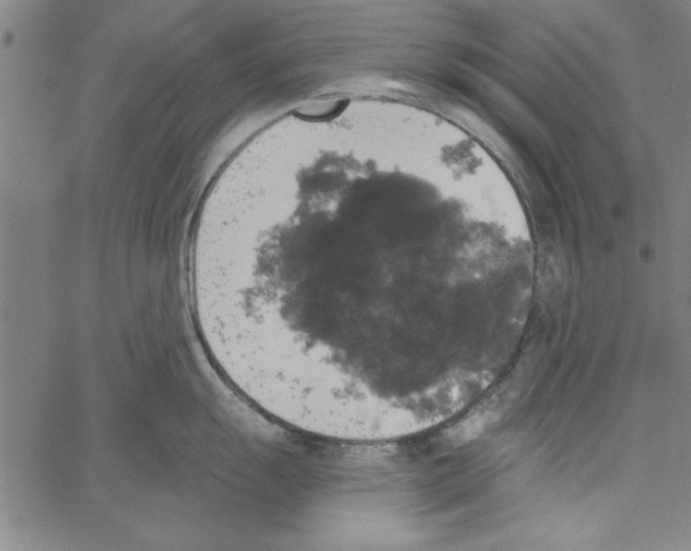 X0000066971055200604211901