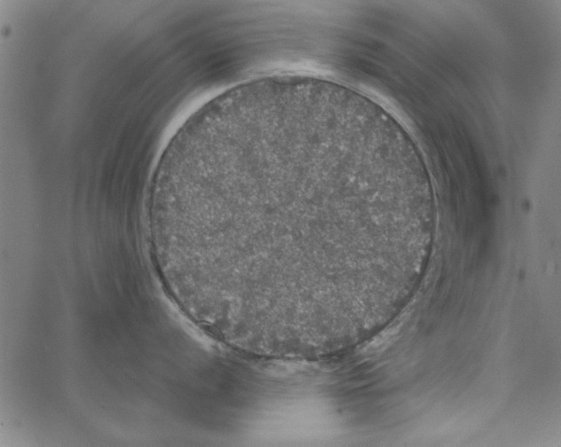 X0000066971056200604211902