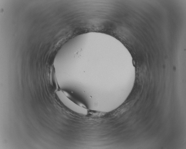 X0000066971058200604211901