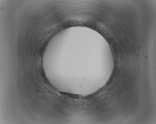 X0000066971061200604211901