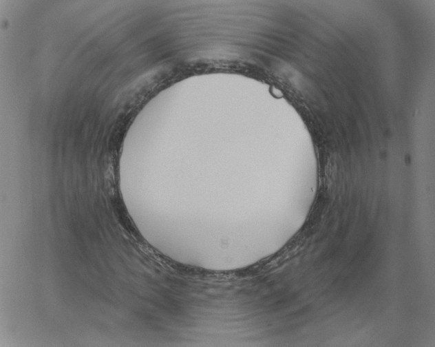 X0000066971062200604211901