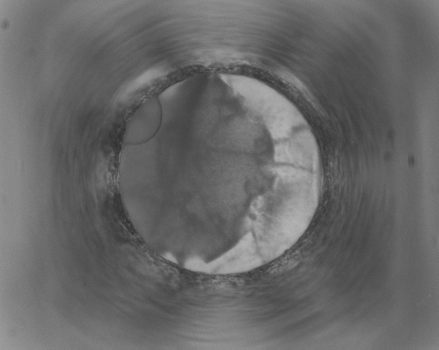 X0000066971063200604211901