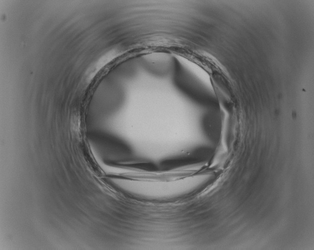 X0000066971065200604211901