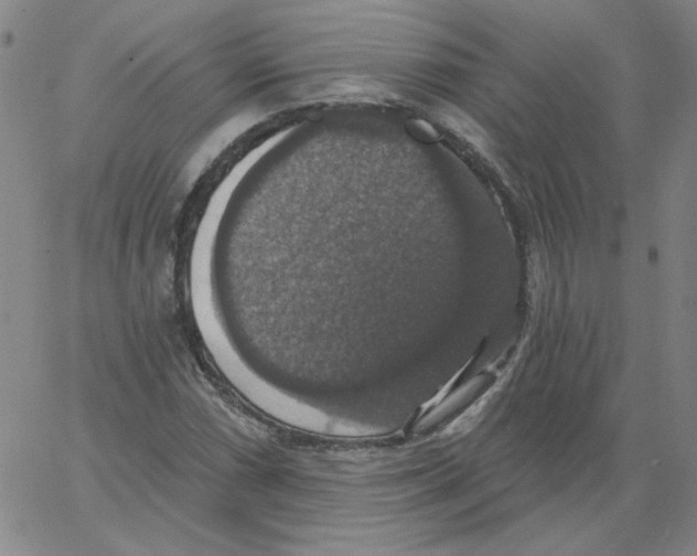 X0000066971066200604211901