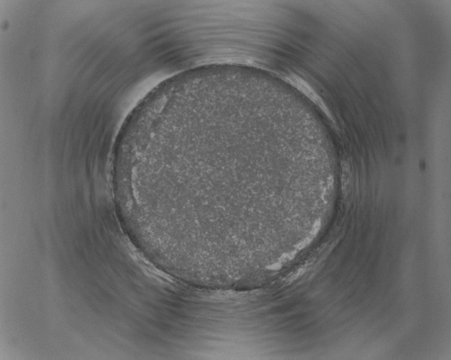 X0000066971068200604211901