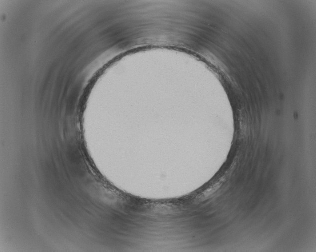 X0000066971070200604211901