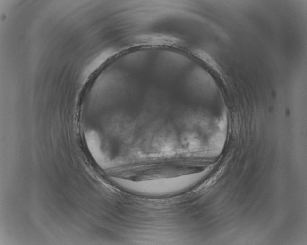 X0000066971071200604211900