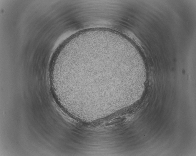 X0000066971072200604211900