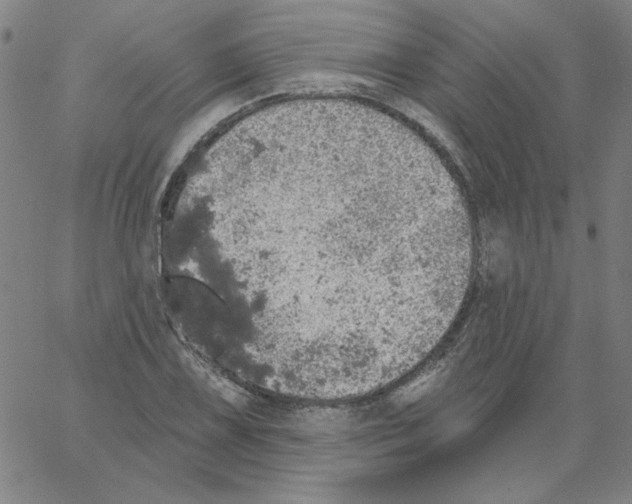 X0000066971075200604211900