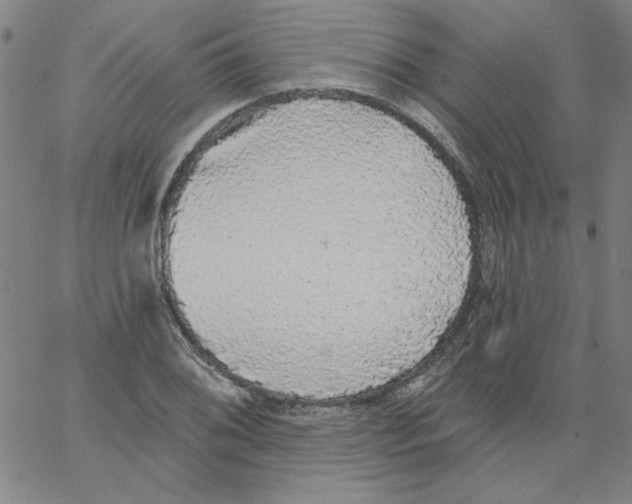 X0000066971076200604211900