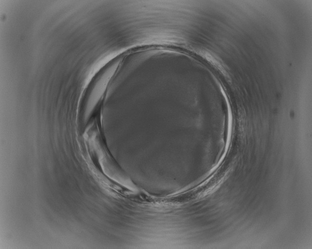 X0000066971077200604211900