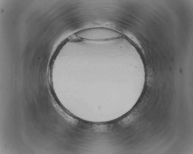 X0000066971080200604211900