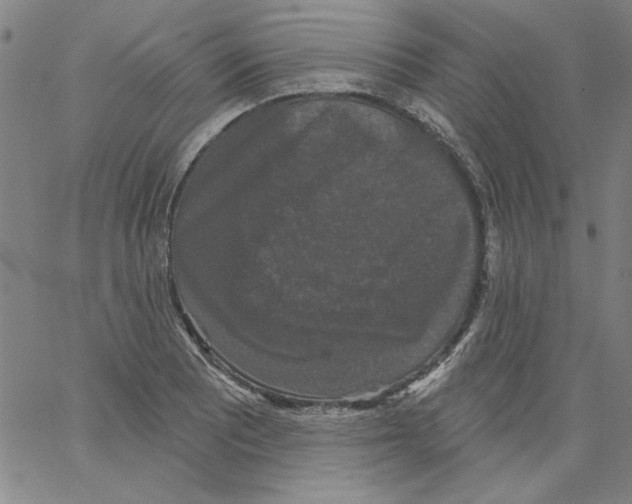 X0000066971081200604211900