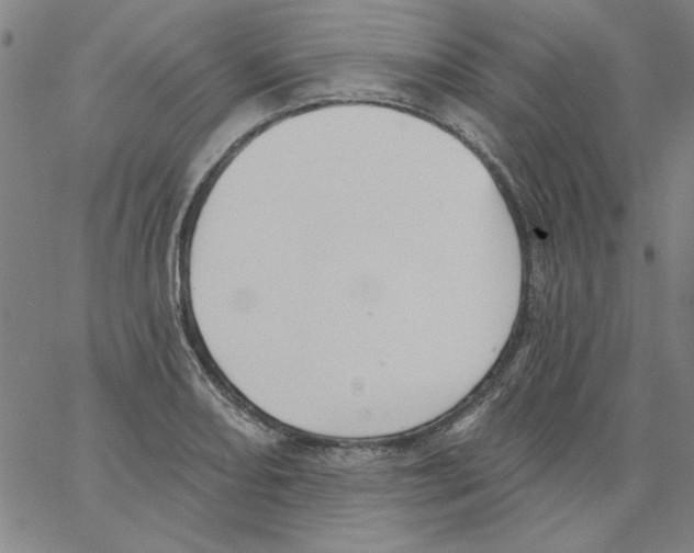 X0000066971082200604211900