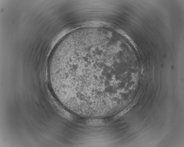 X0000066971083200604211900