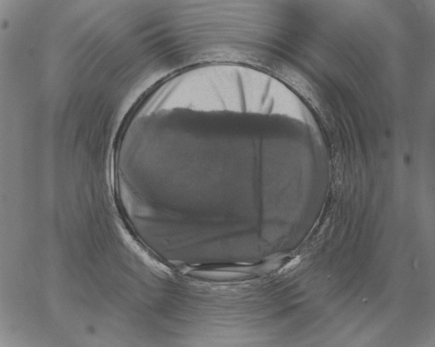 X0000066971084200604211900