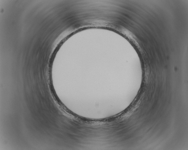 X0000066971085200604211900