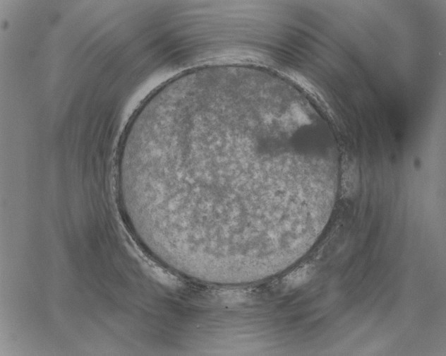 X0000066971086200604211900