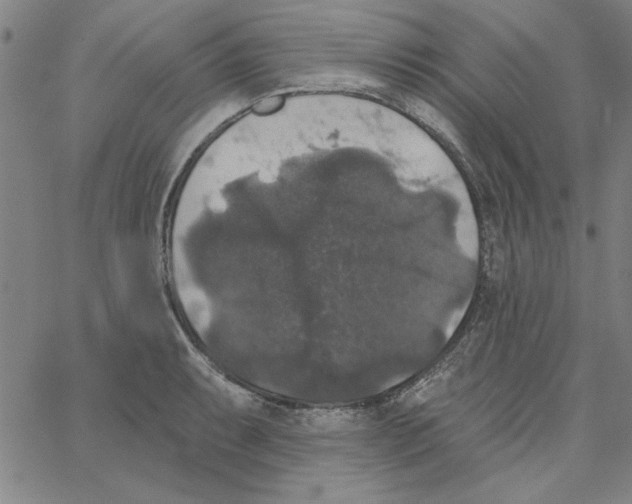 X0000066971087200604211900