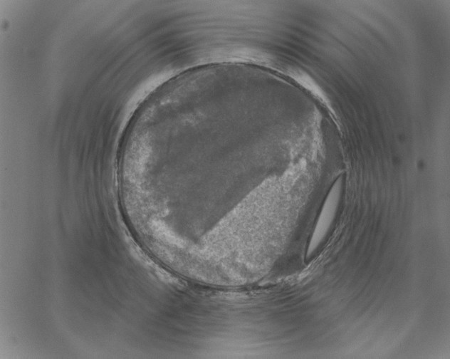 X0000066971088200604211900